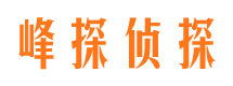 苏仙侦探公司